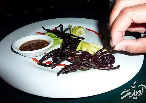 چندش آور ترین غذا های دنیا را بشناسید!/ تصاویر